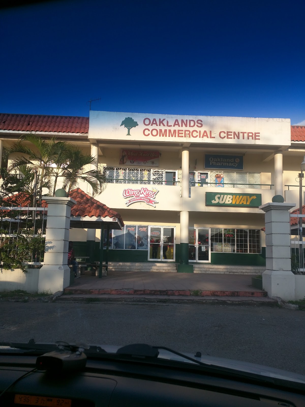 WingKing Jamaica photo