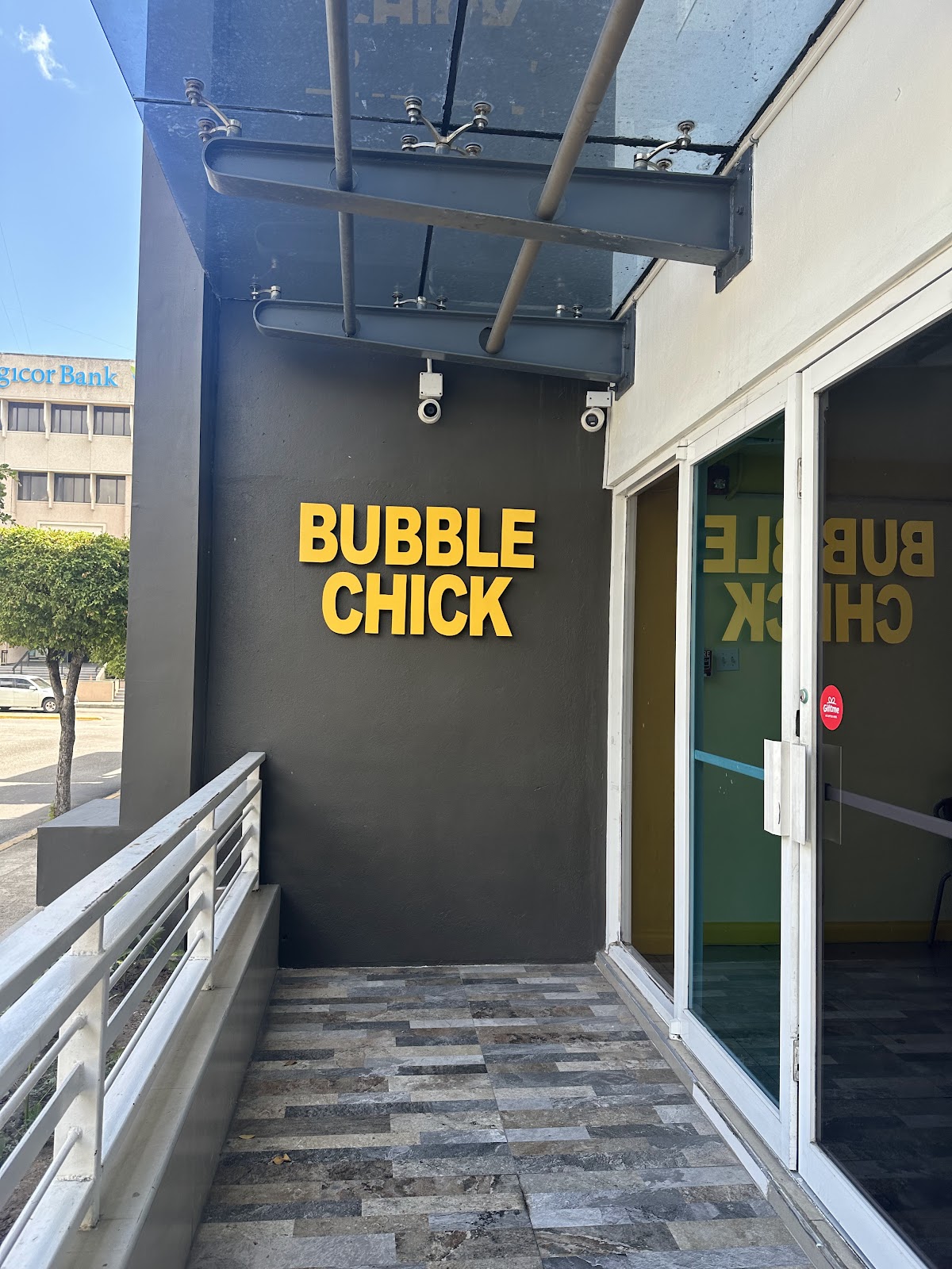Bubble Chick photo