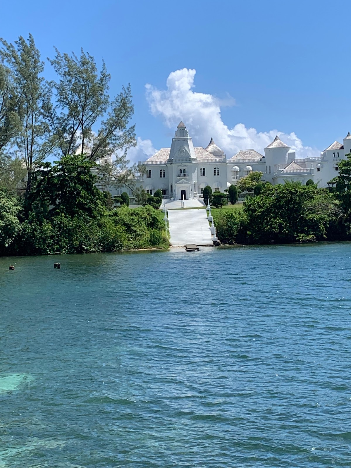 1of2-CAYMANAS GARDEN photo