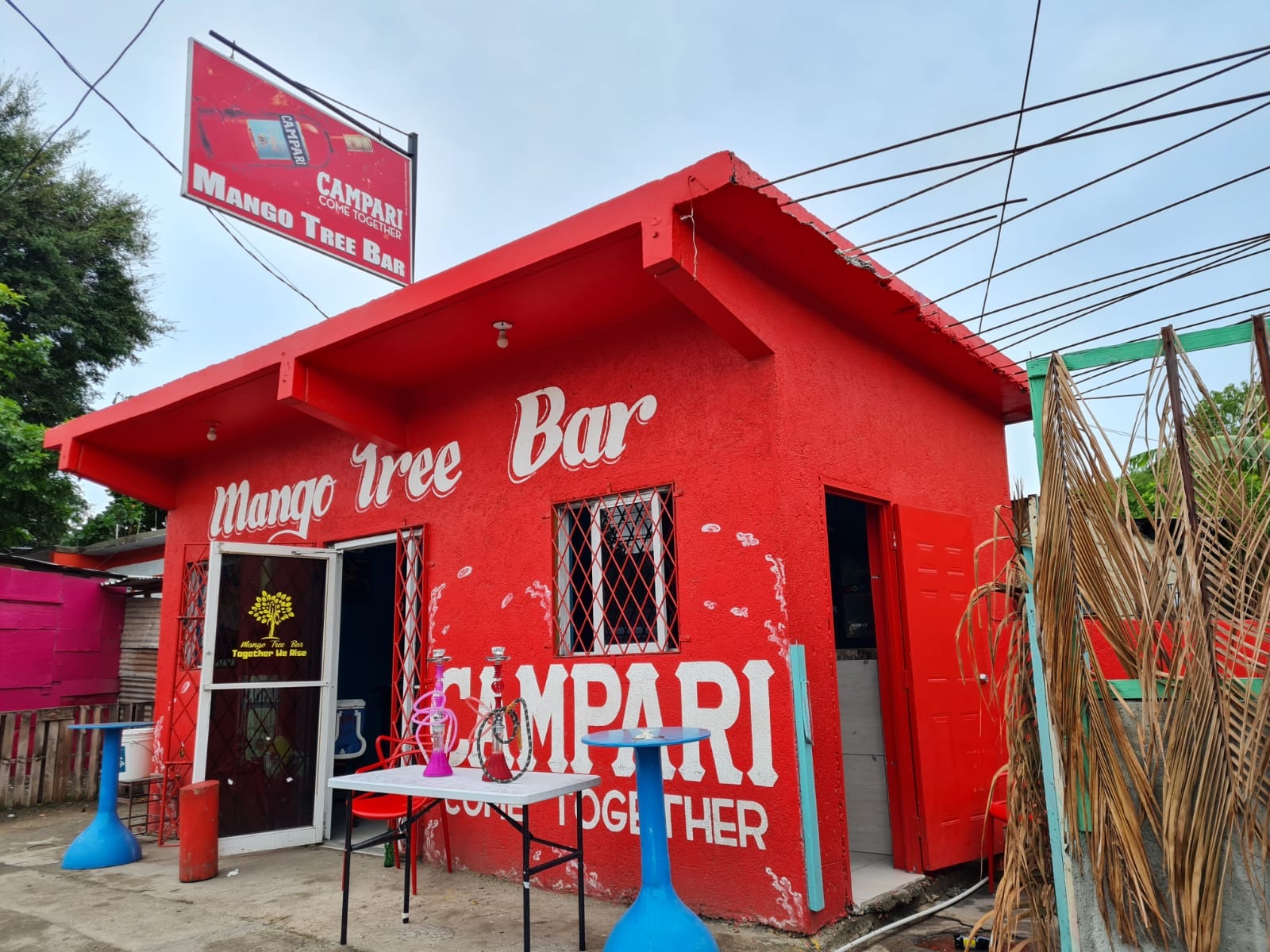 Mango Tree Bar photo